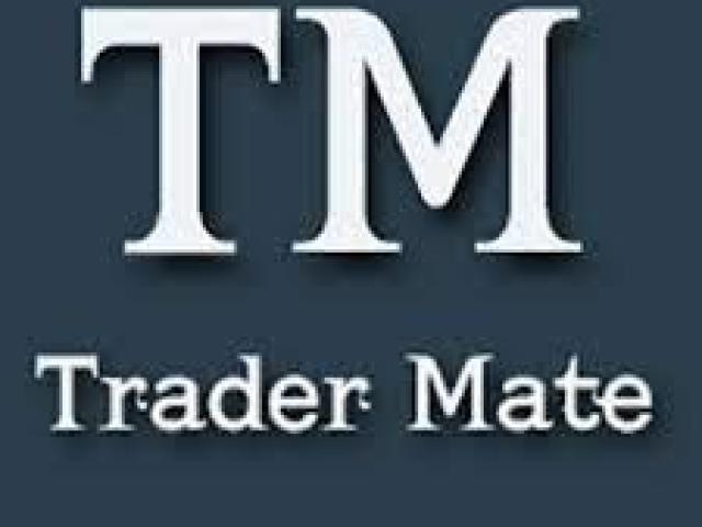 How Does Trader Mate Work?