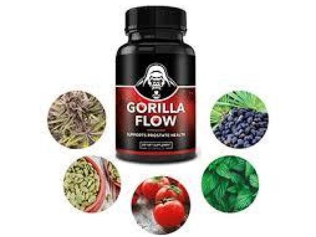 where to shop for Gorilla Flow?
