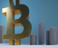 What is Immediate Edge App?