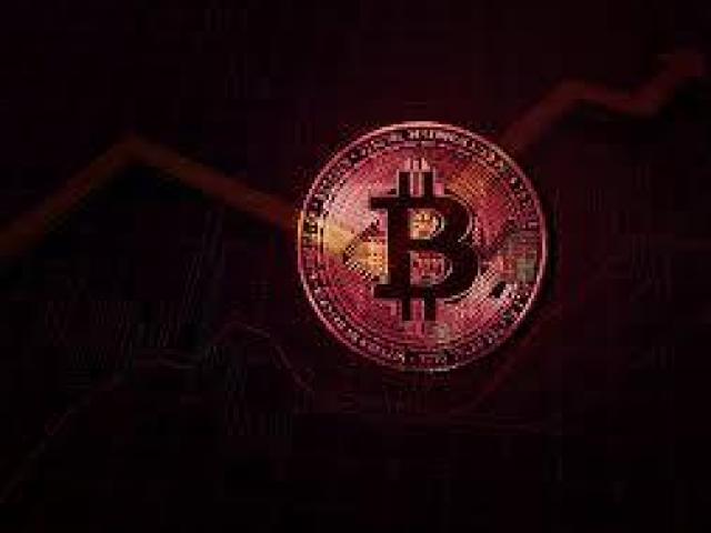 Trader Mate Review 2023