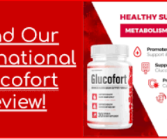 What Are the Critical Fixings in Glucofort Blood Sugar?